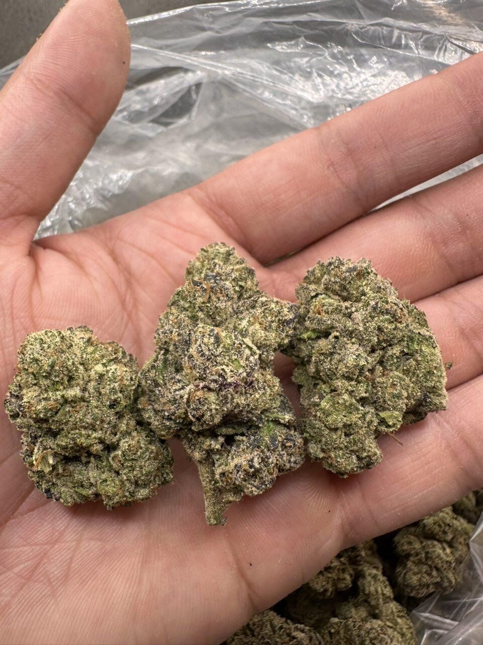 Whoa Si Whoa THCa Flower
