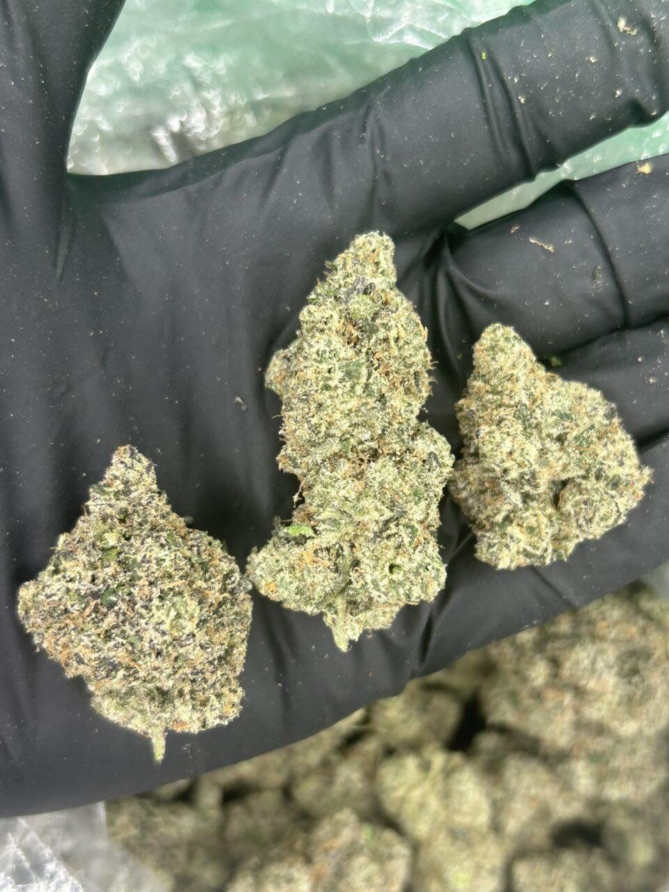 Unicorn Meat THCA Flower