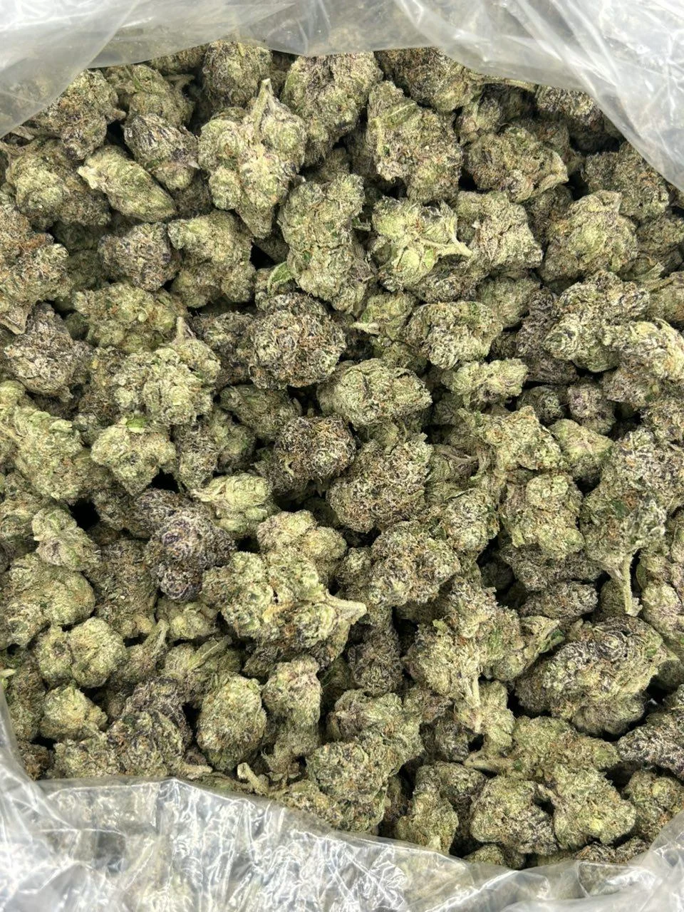 Blue Nerdz THCA Flower - Image 2