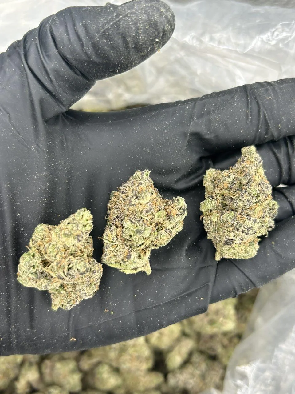 Blue Nerdz THCA Flower