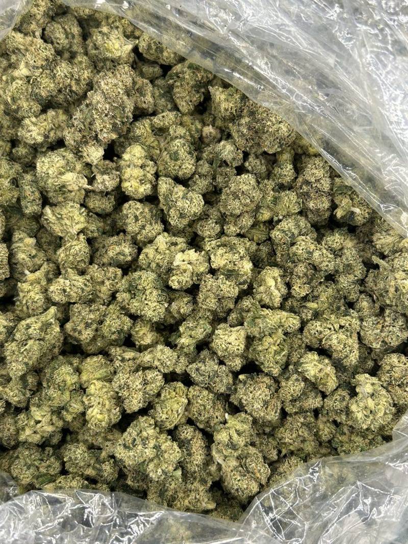 Lemon Fuckin Gelato - Image 2