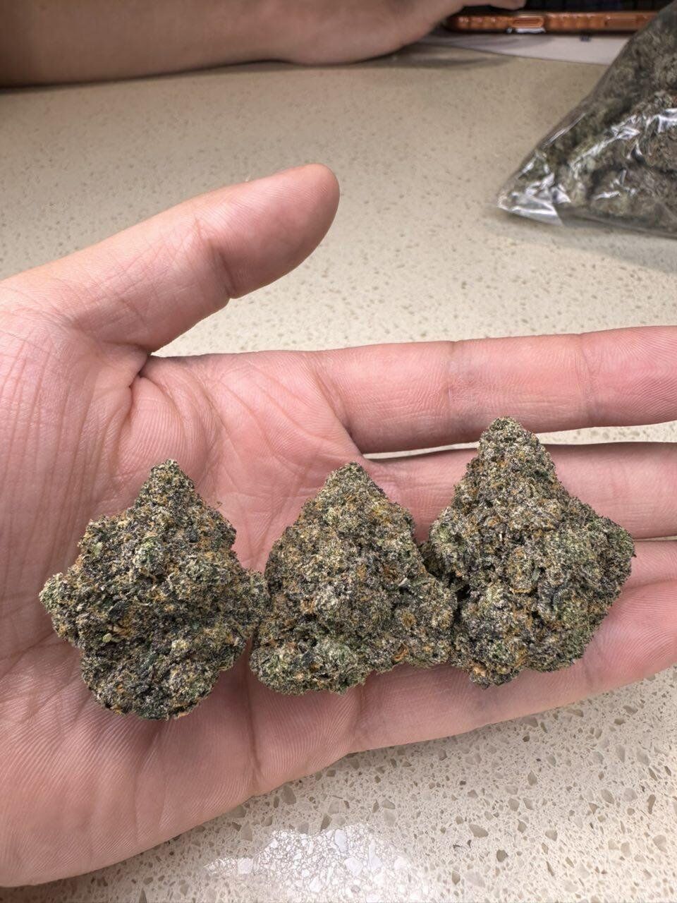 Biscotti THCa Flower