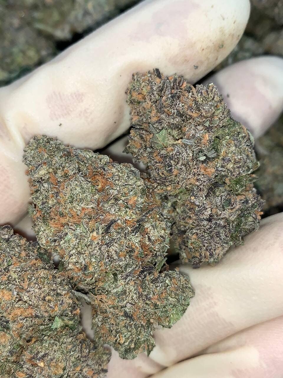 E33 🧪 ✈️