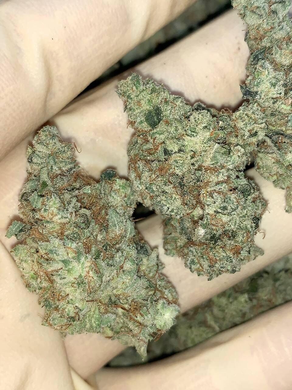 Gods Glue