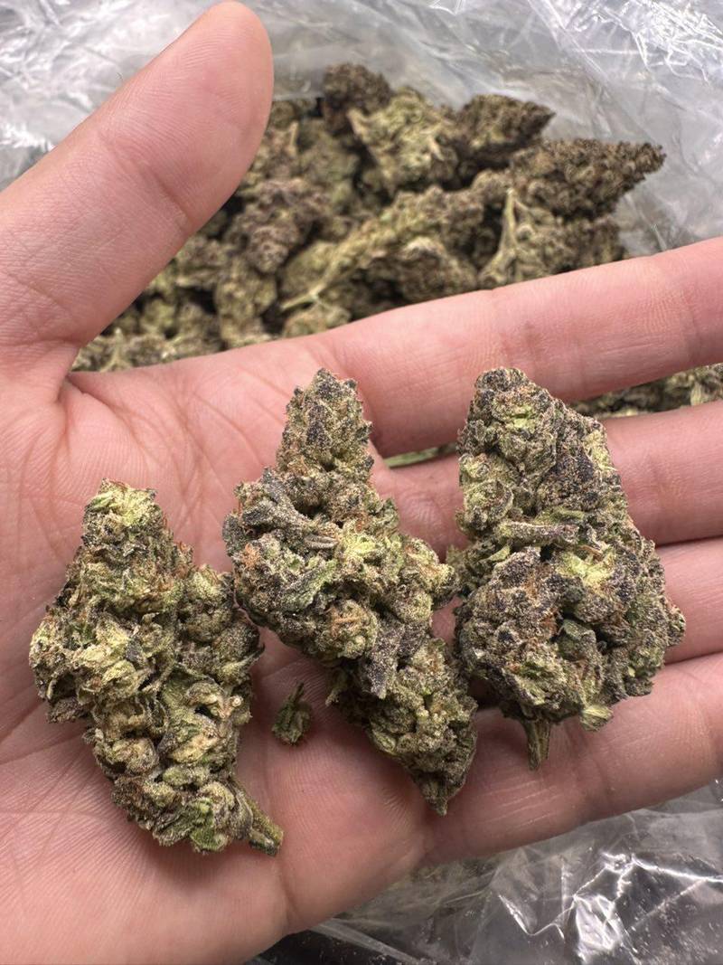 Grease Monkey