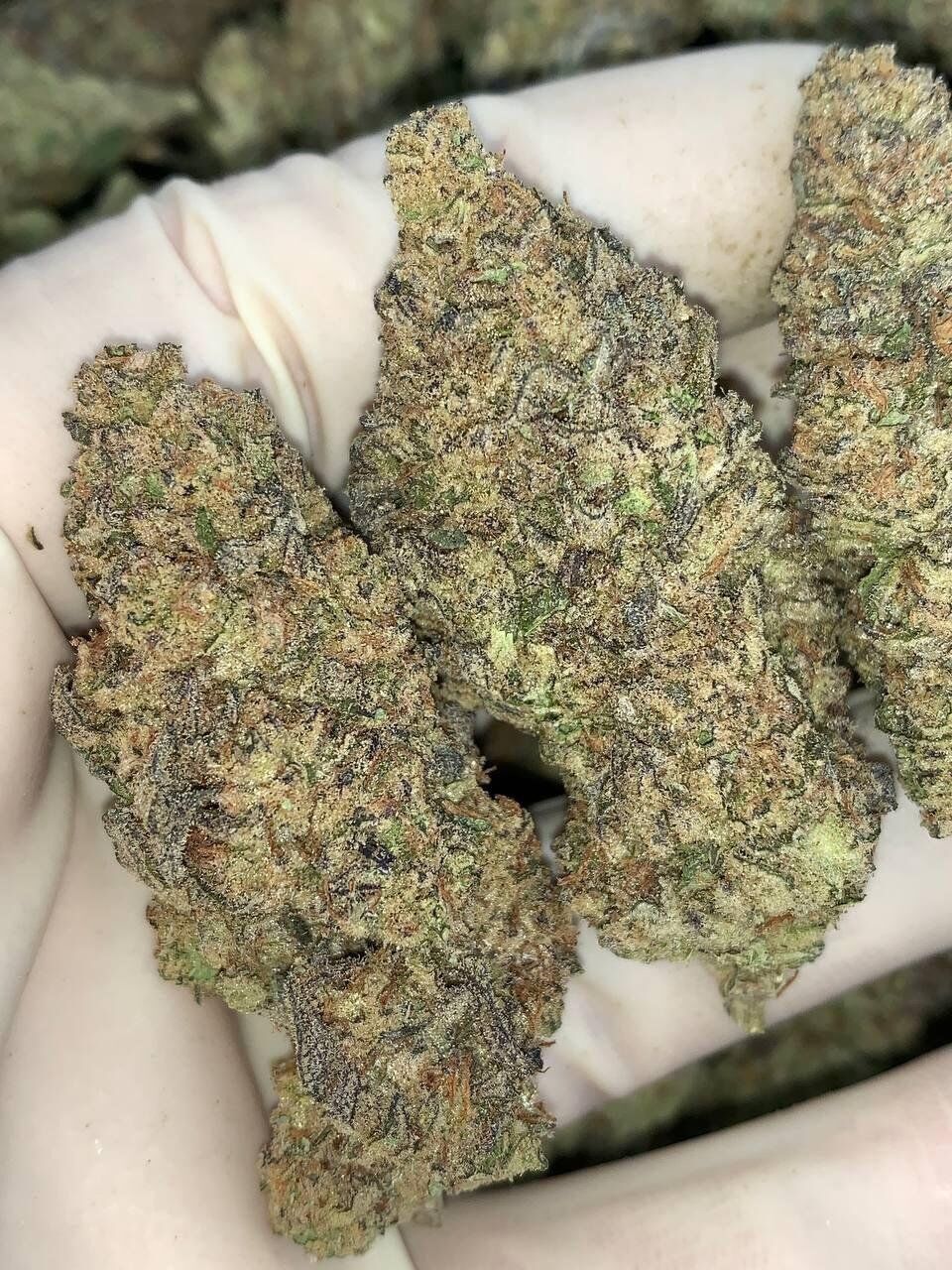 Trap Fuel