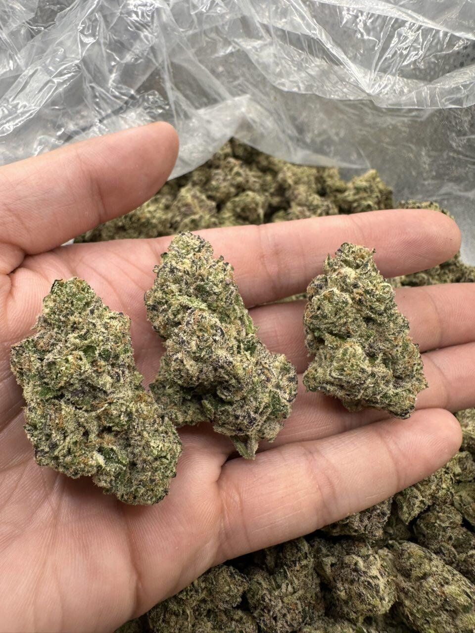 Blue Zangria THCa Flower
