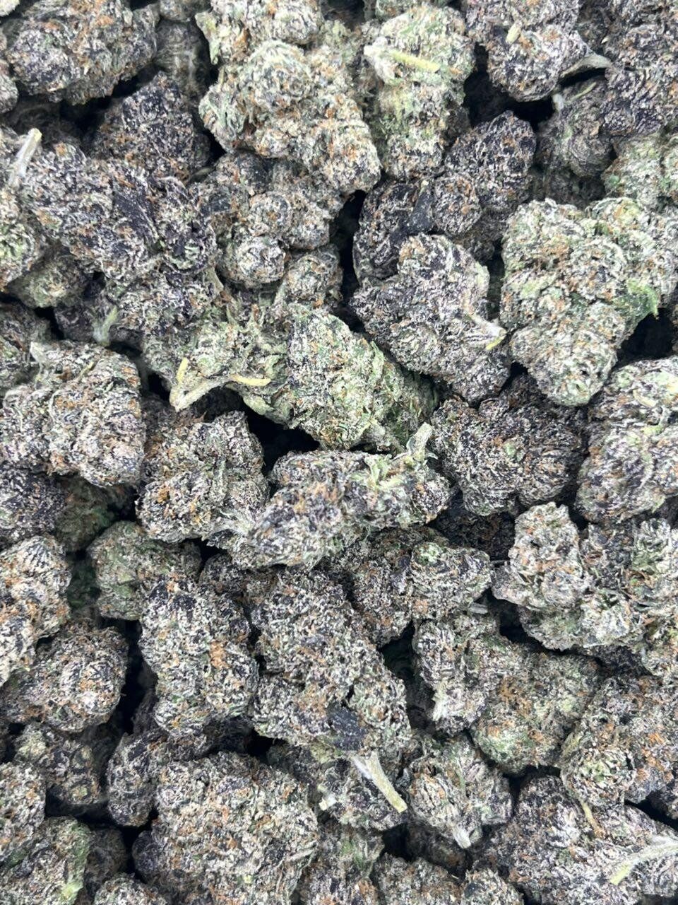 4K Gelato THCa Flower
