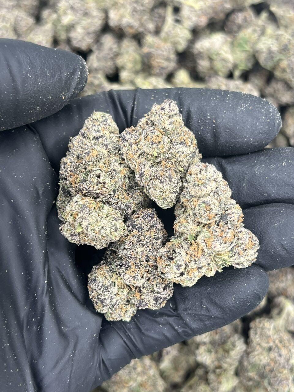 4K Gelato THCa Flower - Image 2