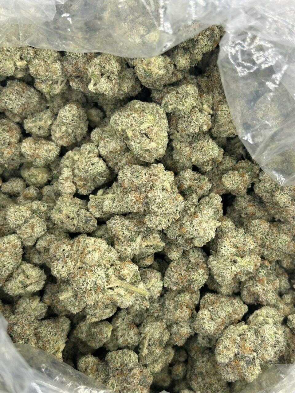 Black Ice THCa Flower