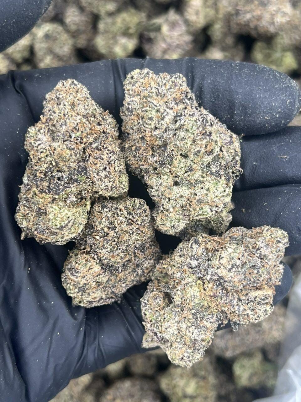 Candy Poppers THCa Flower - Image 2