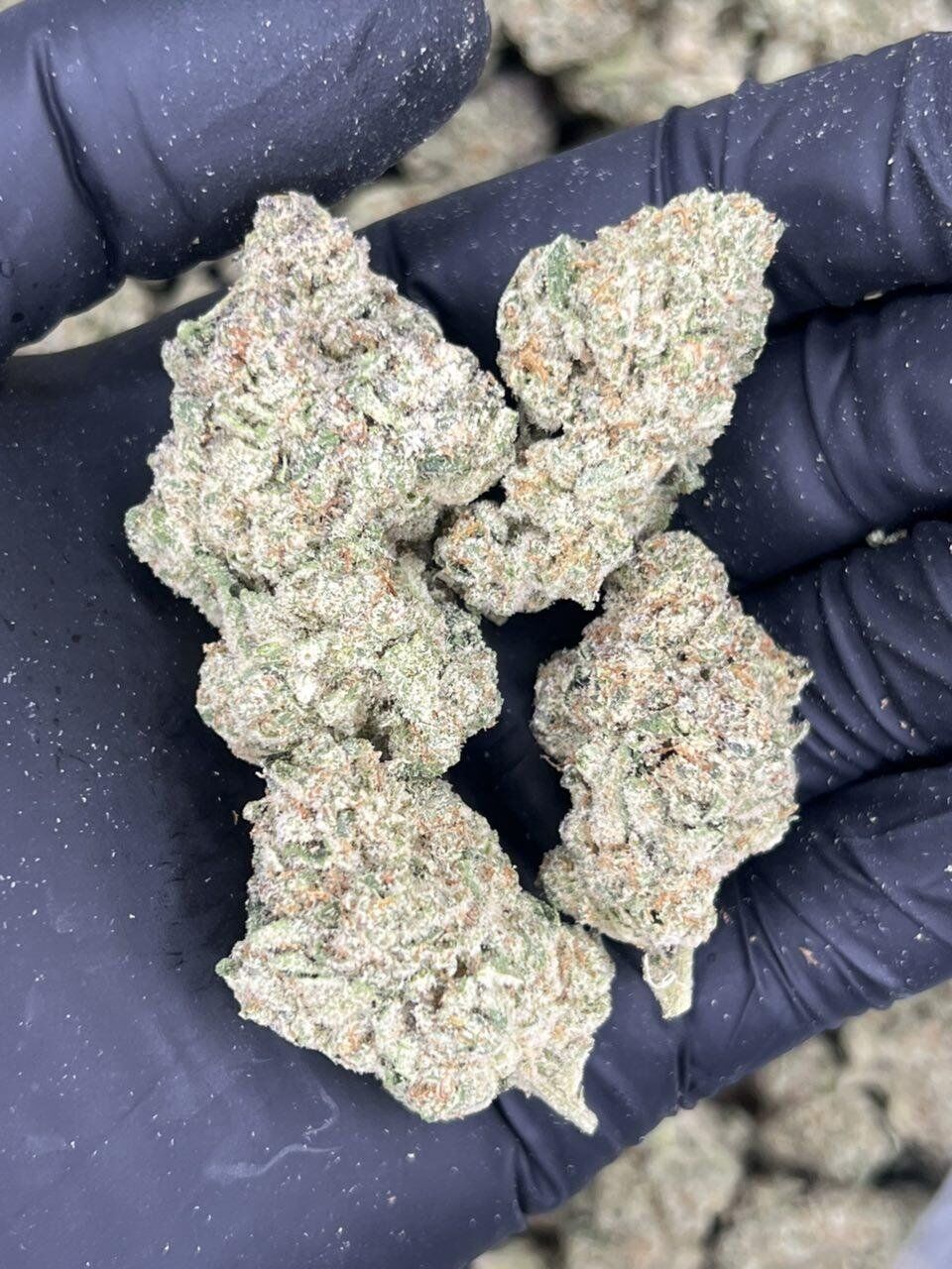 Hubba Bubba THCa Flower - Image 2