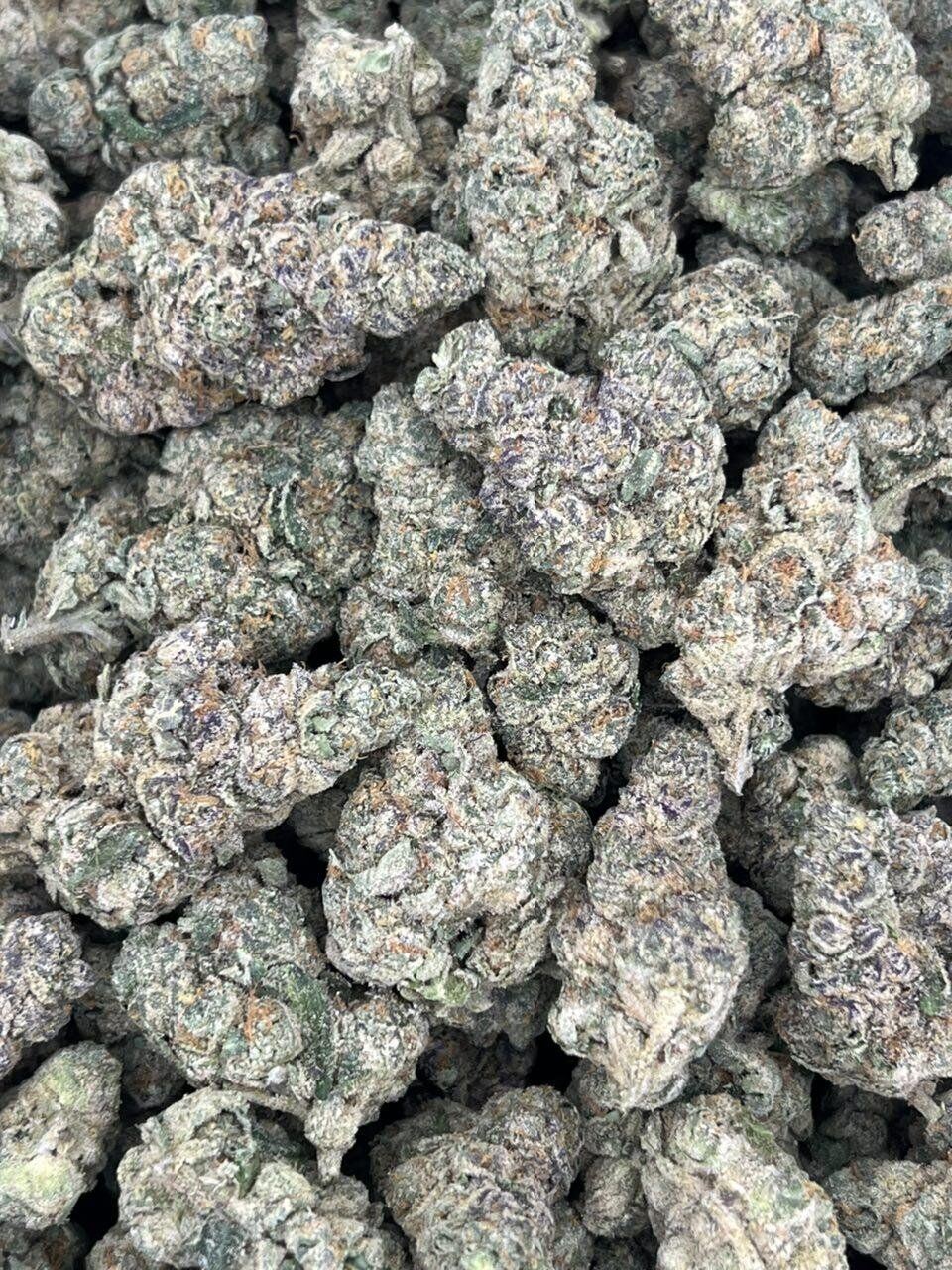 Sherb Cocktail THCa Flower