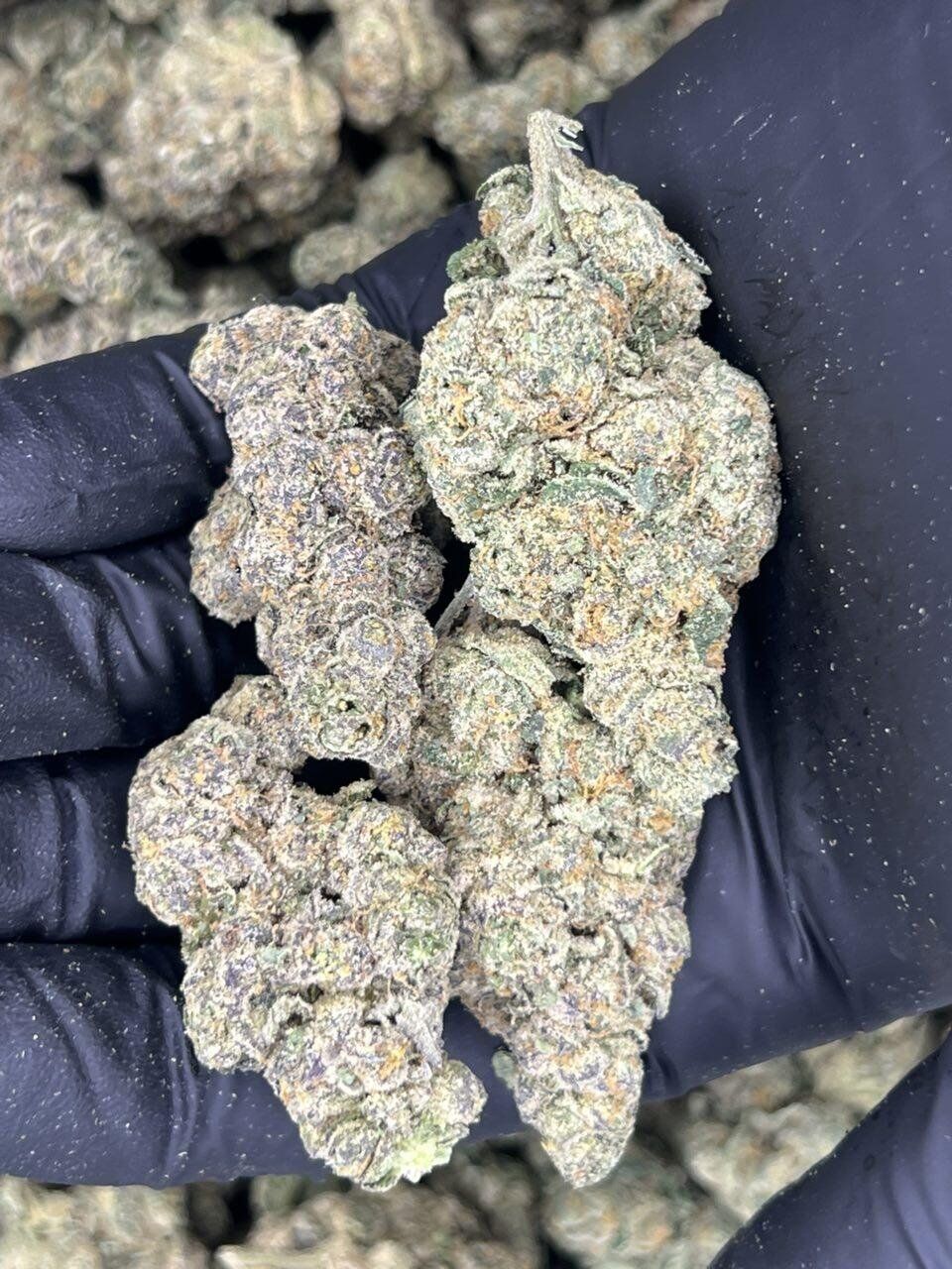 Sherb Cocktail THCa Flower - Image 2