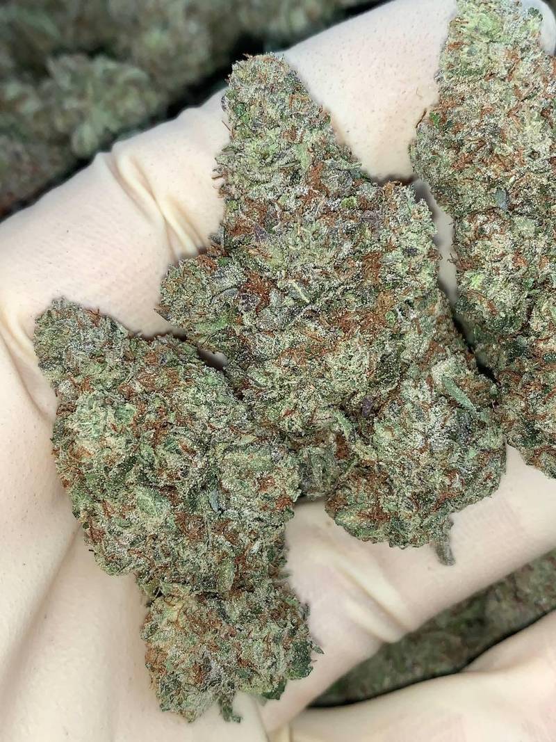 OG Sherb