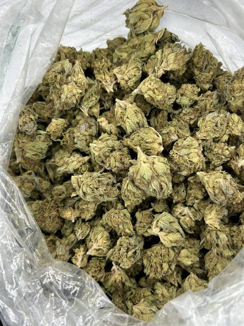 Blueberry Muffin THCa Flower