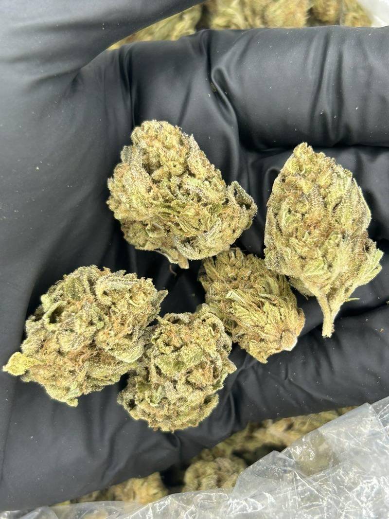 Blueberry Muffin THCa Flower - Image 2