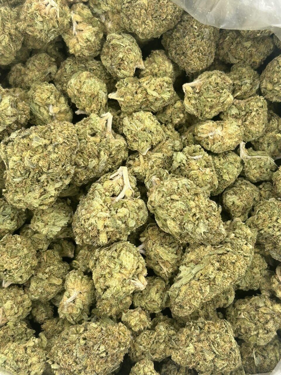 KeyLime OG THCa Flower