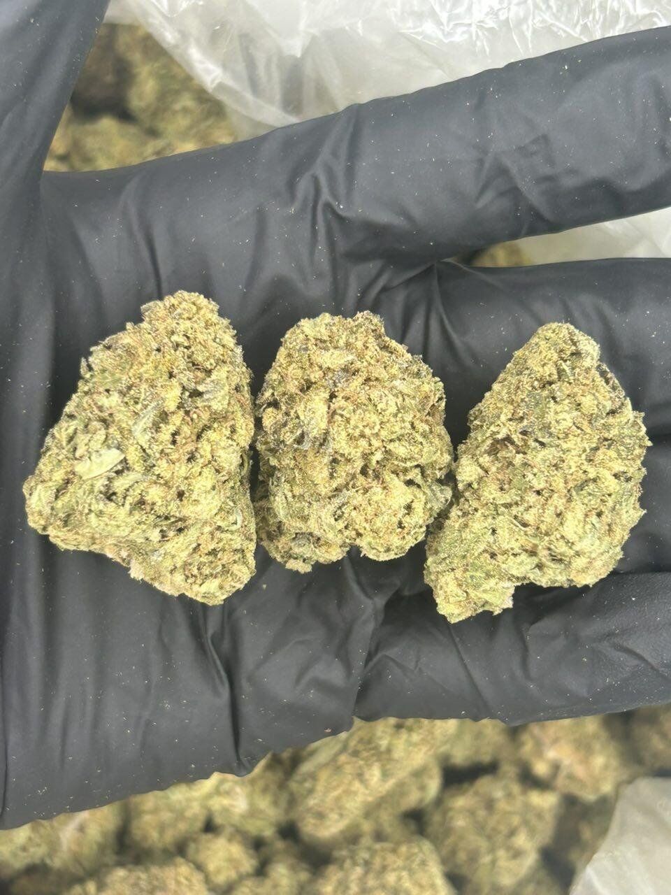 KeyLime OG THCa Flower - Image 2