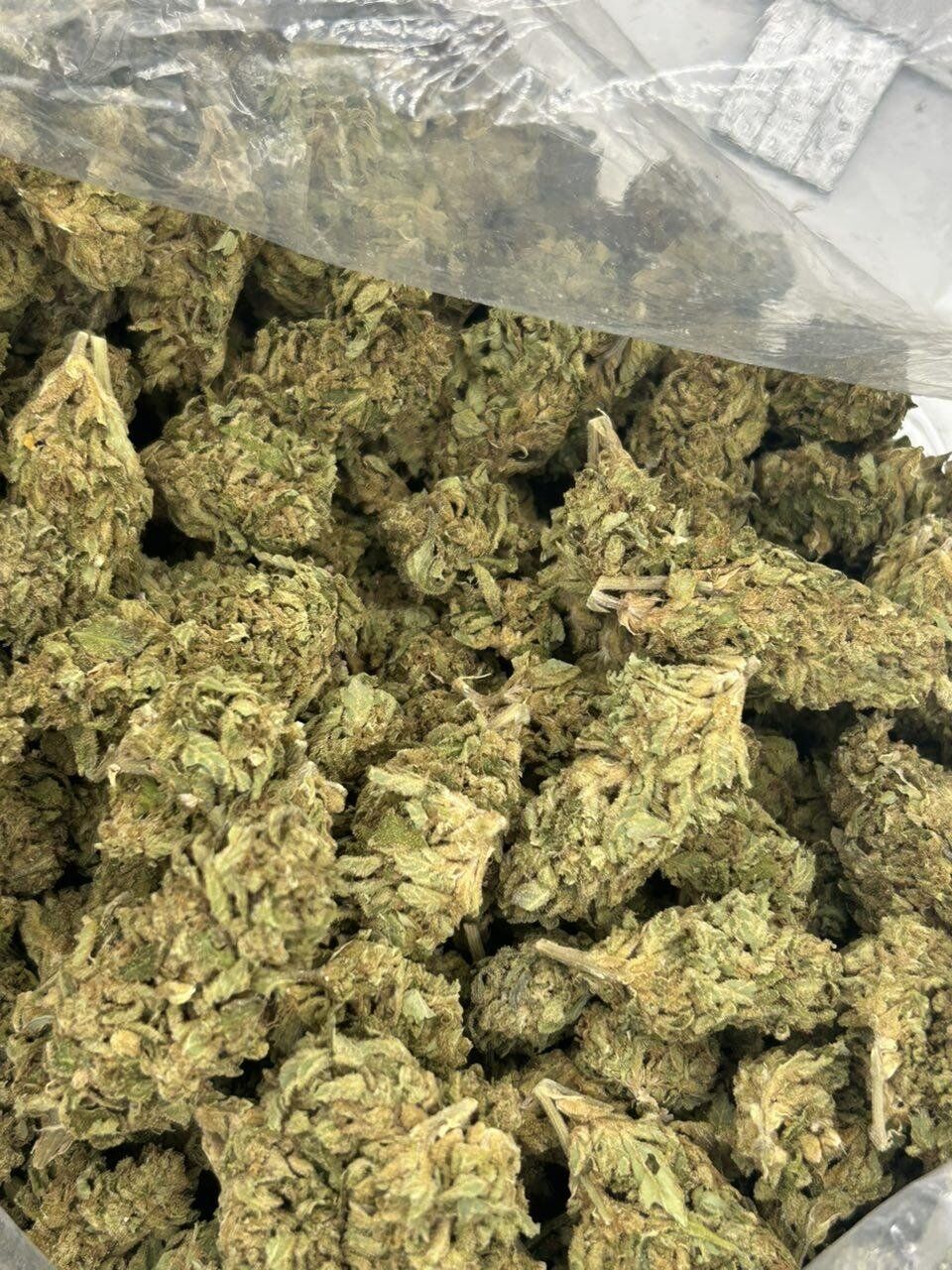 Pie Scram THCa Flower - Image 2