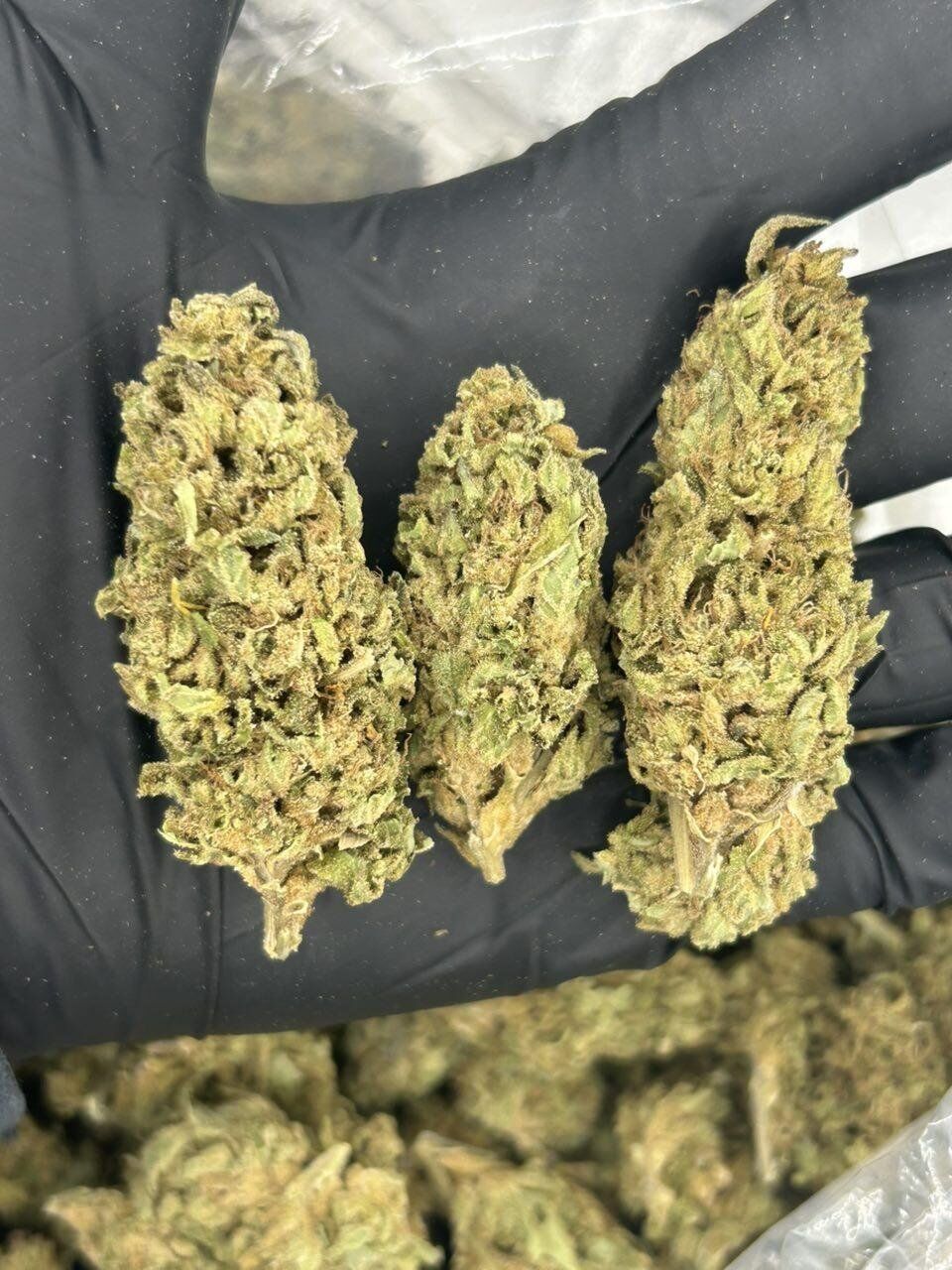 Pie Scram THCa Flower