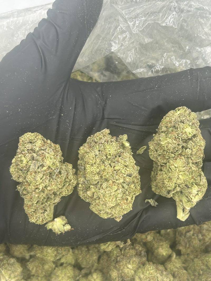 Purple Cake
