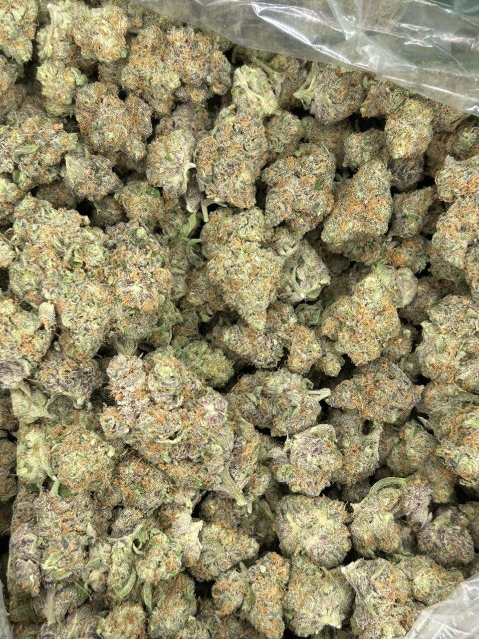 5G Blue Dream - Image 2