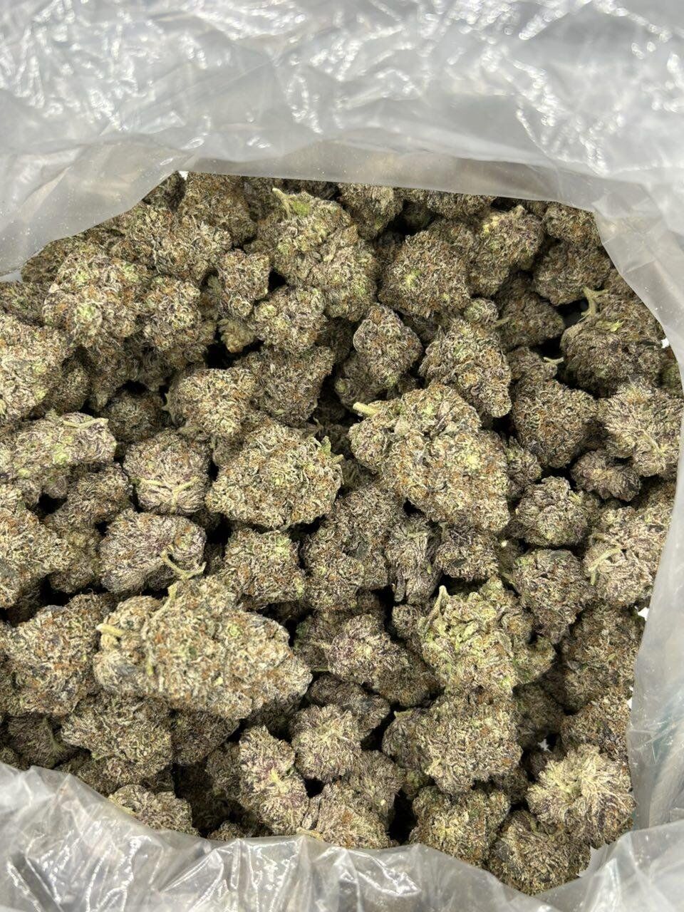Mint Chocolate Chip - Image 2